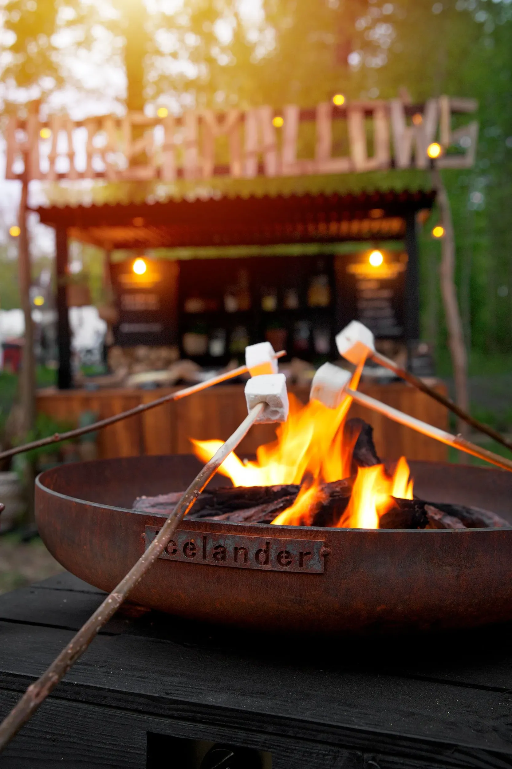 Icelander de Kampvuurbeleving