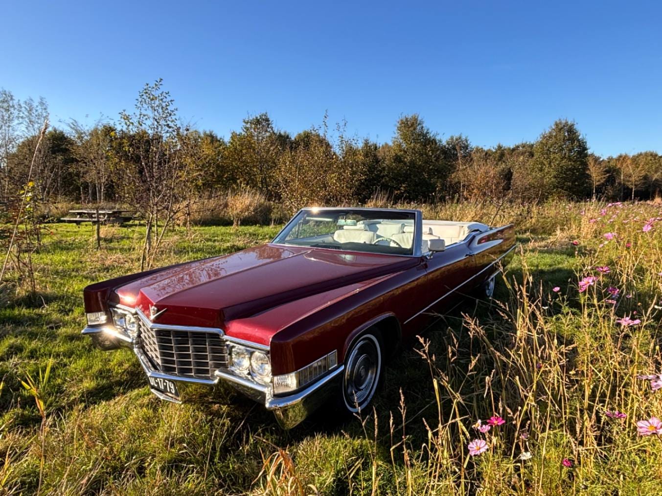 Trouwauto leeuwarden
