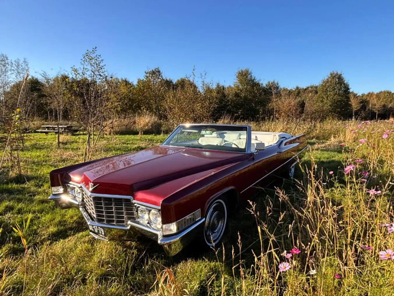 Trouwauto leeuwarden