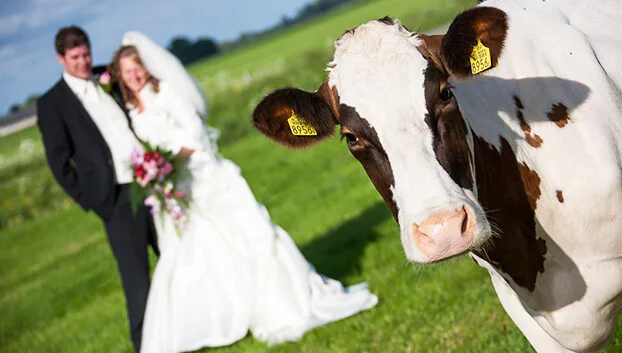 Bruidsfotograaf Fonger de Vlas