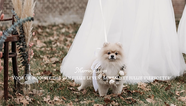 Marriage Dogs