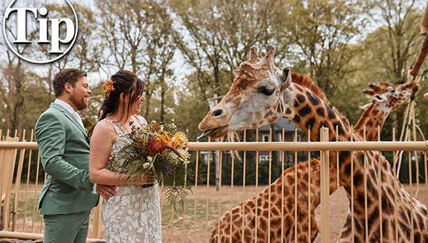 Ouwehands Dierenpark Rhenen