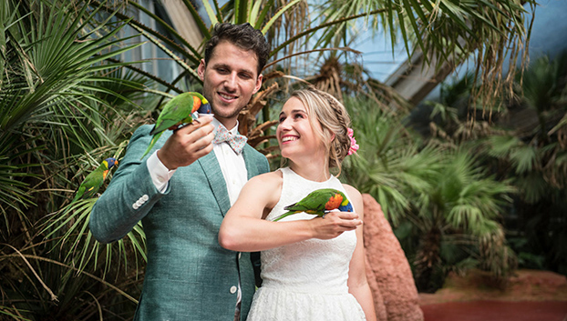 Van der Valk  Avifauna