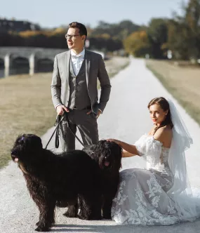 Jouw hond(en) als ringdrager op de trouwdag & strik voor op de bruiloft