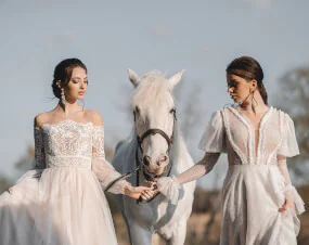 Witte koets met witte paarden huren | Trouwvervoer bruiloft